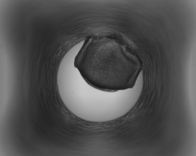 X0000083581108200703021808