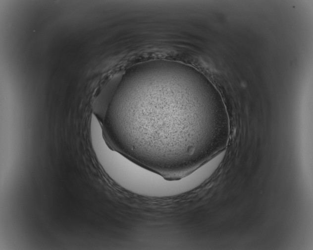 X0000083581109200703021808