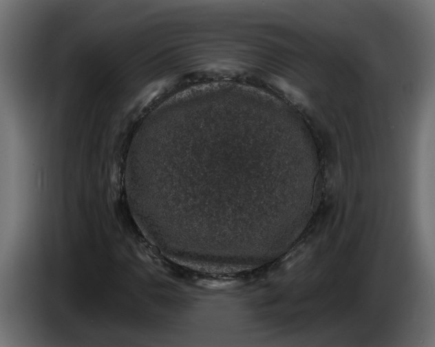 X0000083581110200703021808