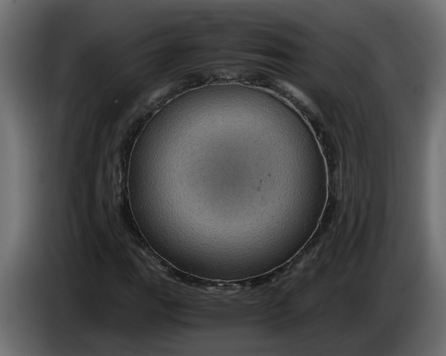 X0000083581111200703021808