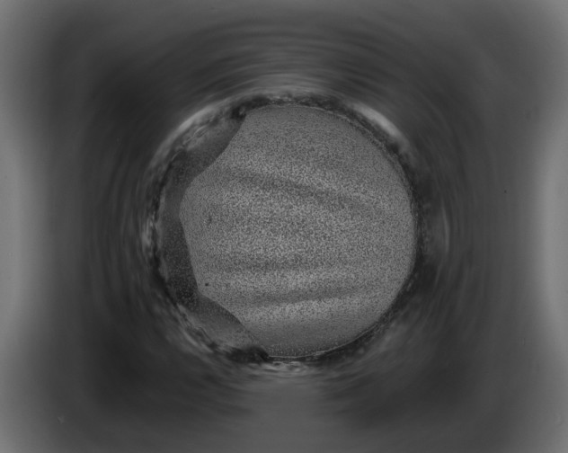 X0000083581112200703021808