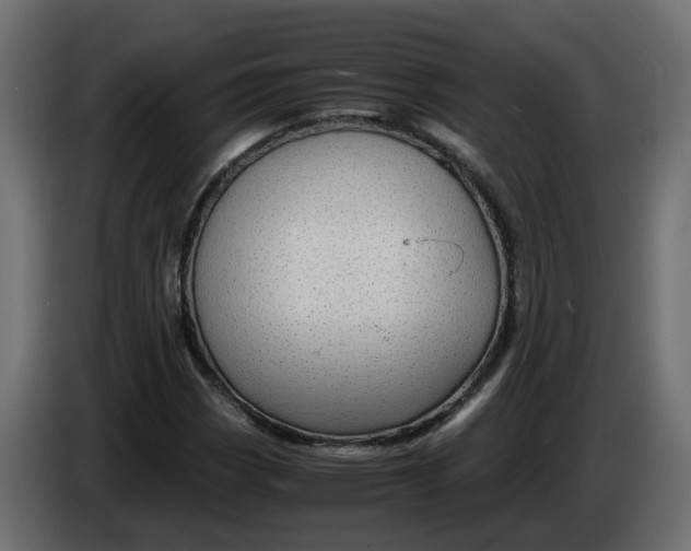 X0000083581113200703021808