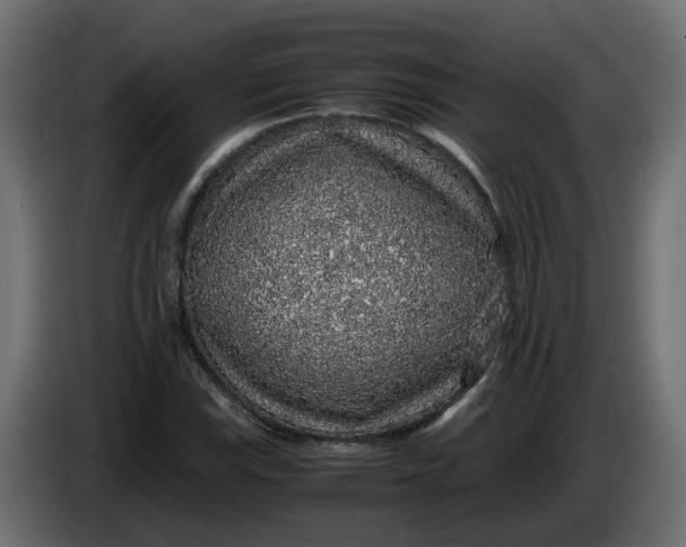 X0000083581115200703021808