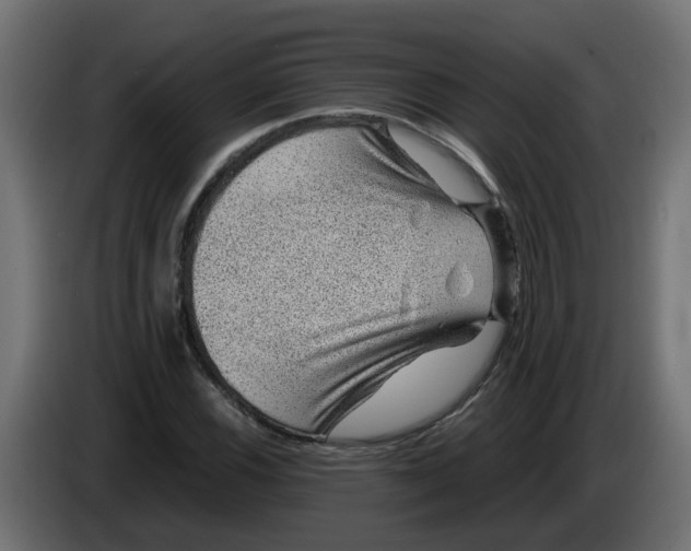 X0000083581116200703021808