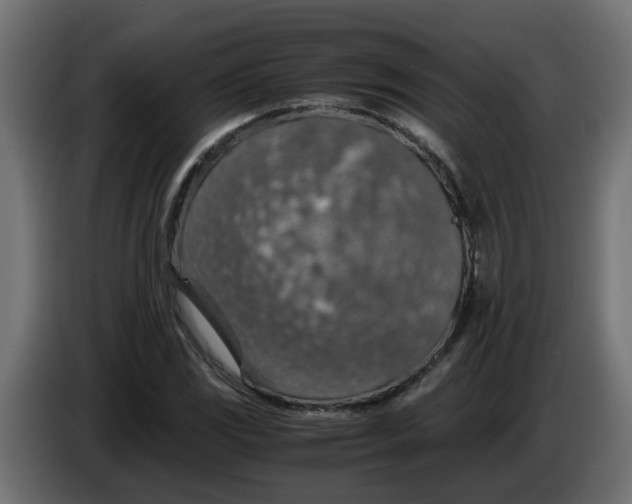 X0000083581117200703021808