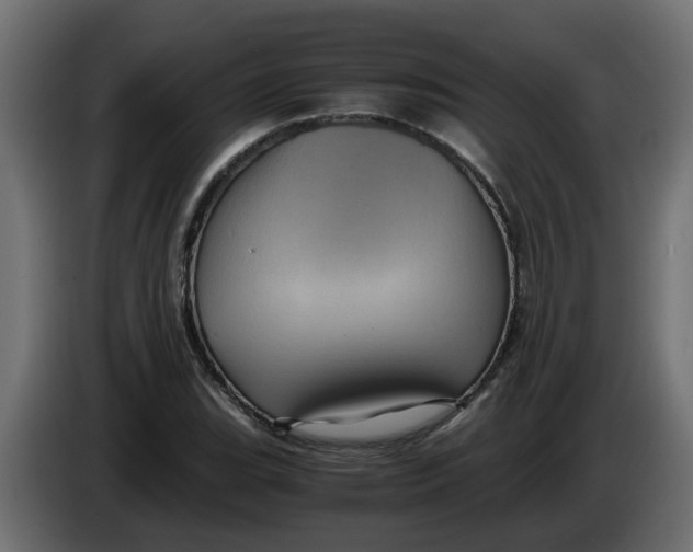 X0000083581119200703021808