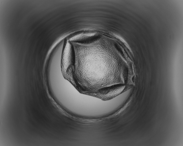 X0000083581122200703021808