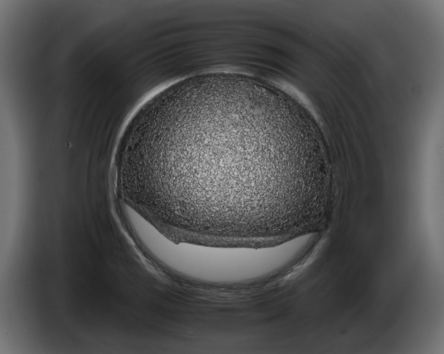 X0000083581125200703021808