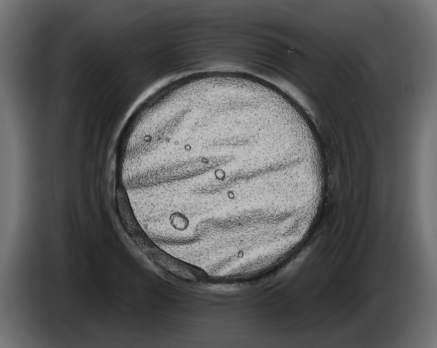 X0000083581126200703021808