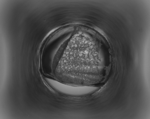 X0000083581127200703021808