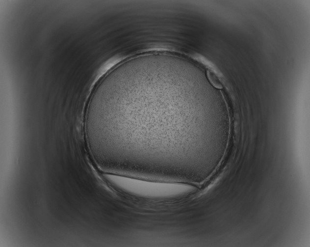 X0000083581129200703021808