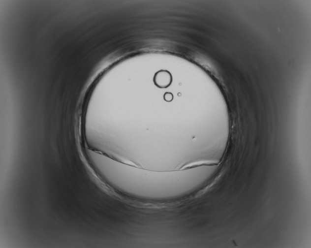 X0000083581130200703021808