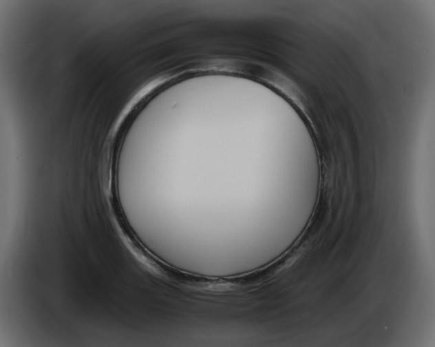 X0000083581131200703021808