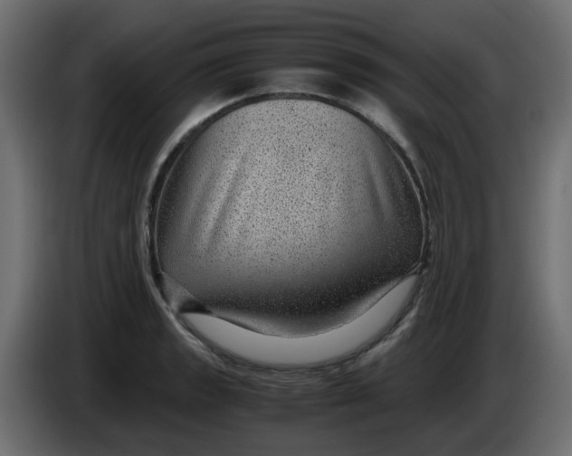 X0000083581133200703021808