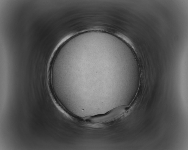 X0000083581135200703021808