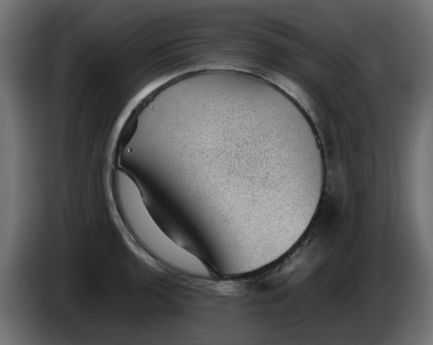 X0000083581136200703021808