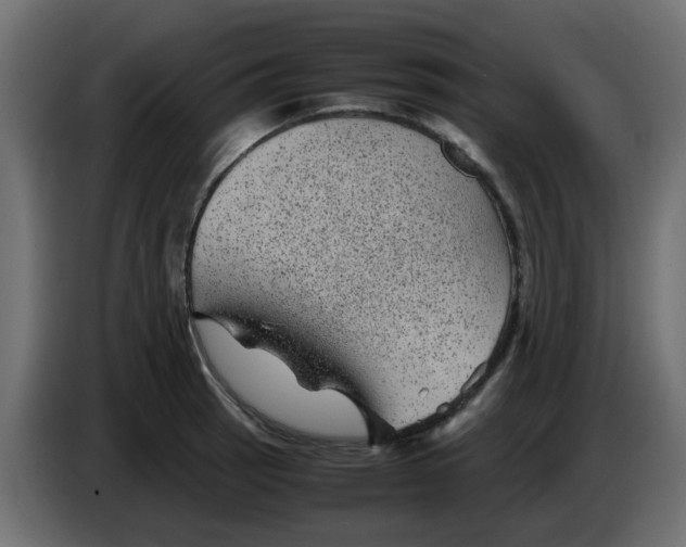 X0000083581137200703021808