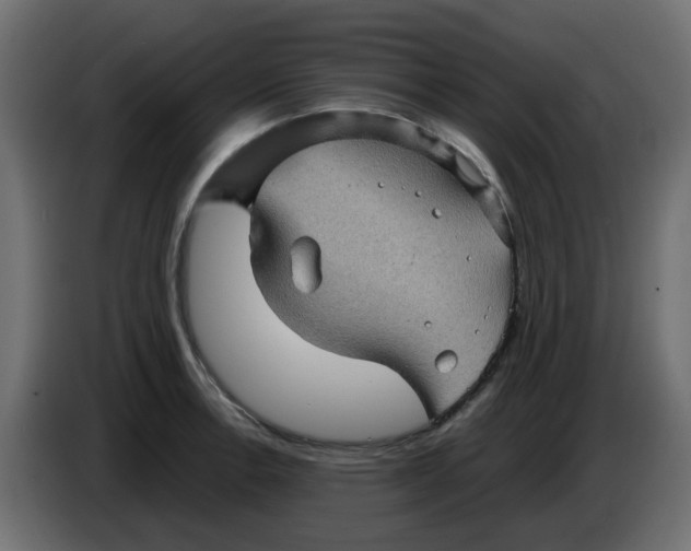 X0000083581138200703021808