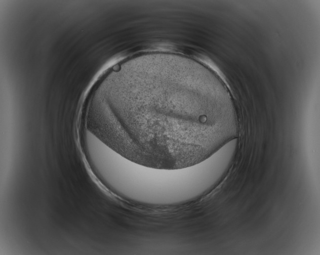 X0000083581139200703021808