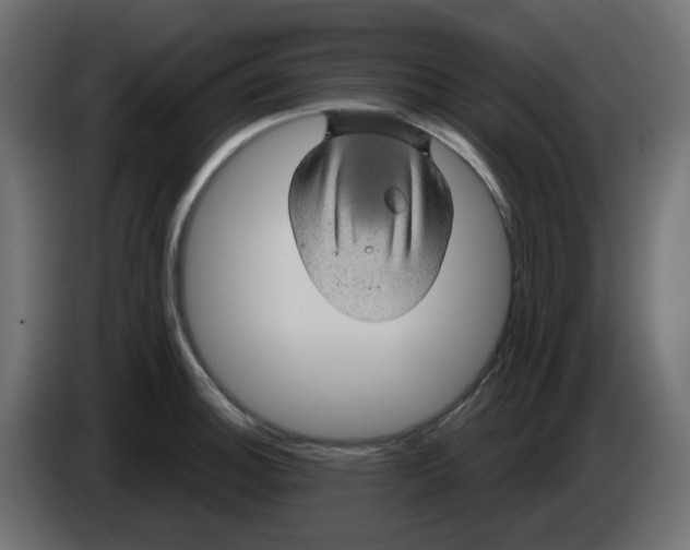 X0000083581140200703021808