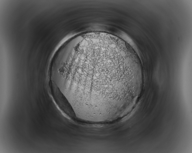 X0000083581141200703021808