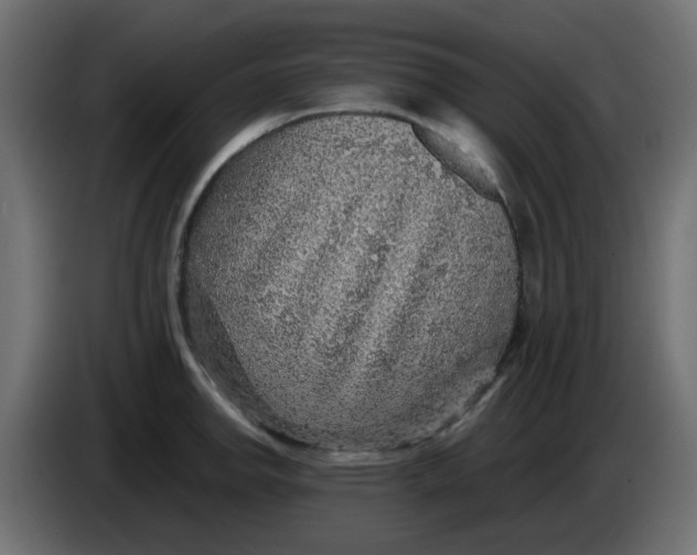 X0000083581142200703021808