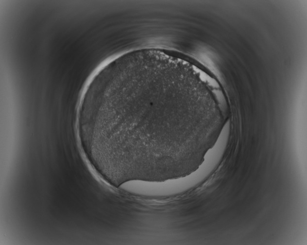 X0000083581144200703021808