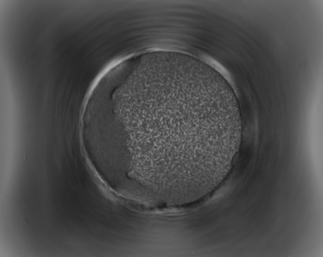 X0000083581146200703021808