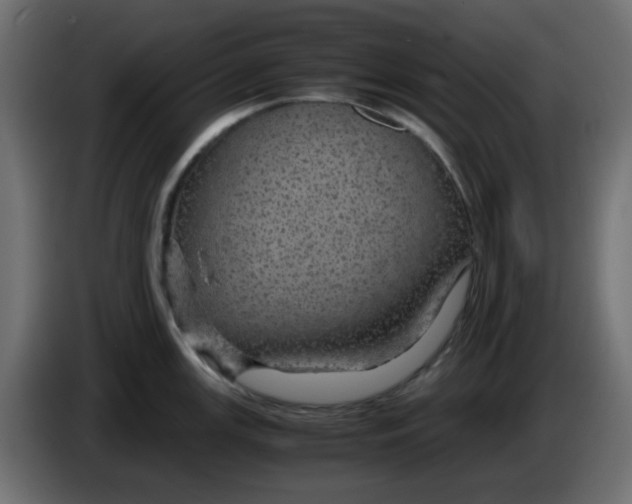 X0000083581147200703021808