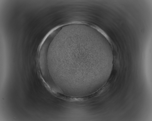 X0000083581148200703021808