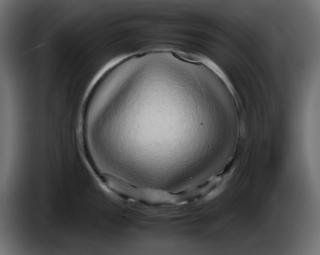 X0000083581149200703021808