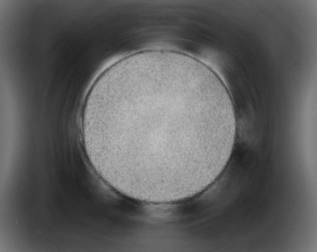 X0000083581150200703021808