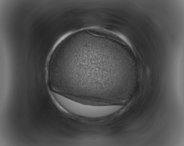 X0000083581151200703021808