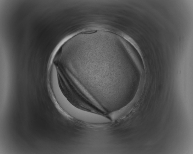 X0000083581152200703021808