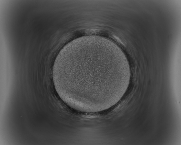 X0000083581153200703021808