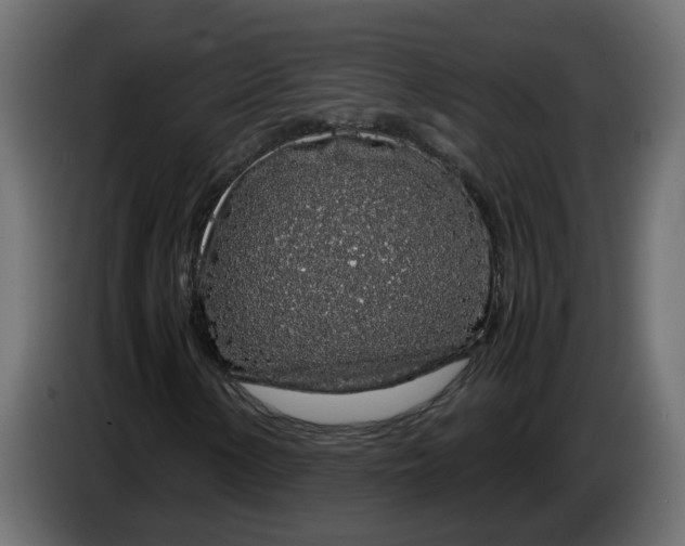 X0000083581154200703021808