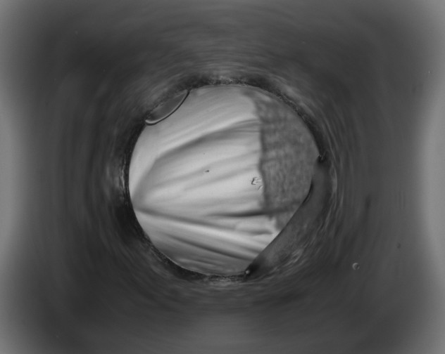 X0000083581155200703021808