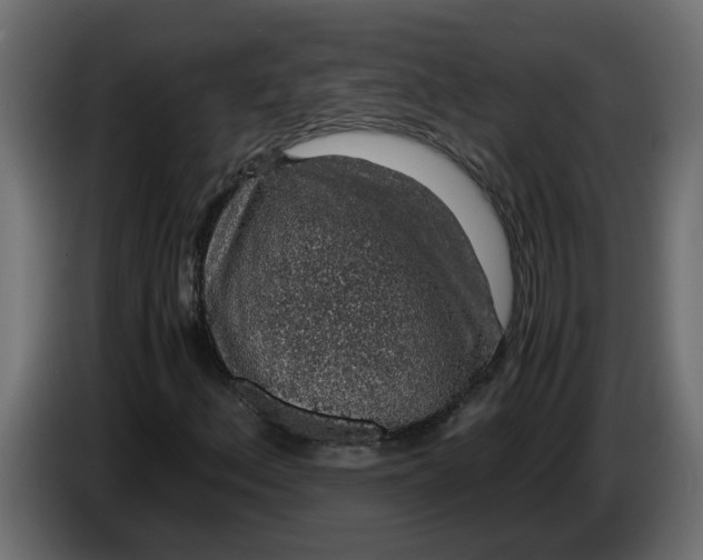 X0000083581156200703021808