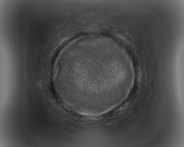 X0000083581157200703021807