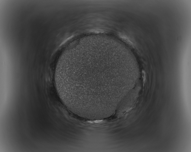 X0000083581158200703021807