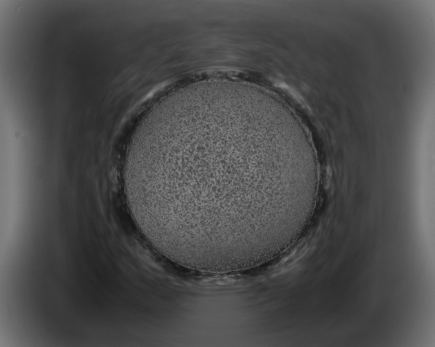 X0000083581159200703021807