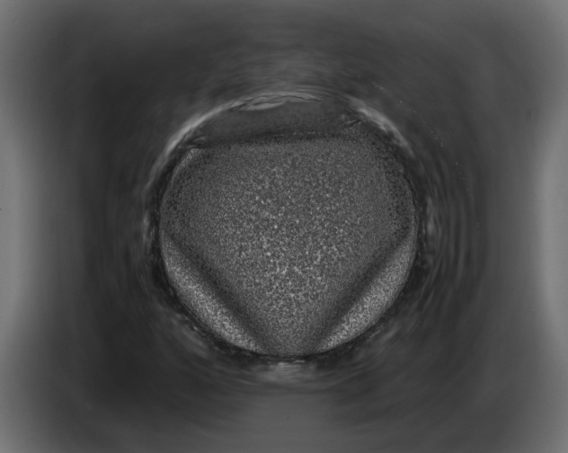 X0000083581160200703021807