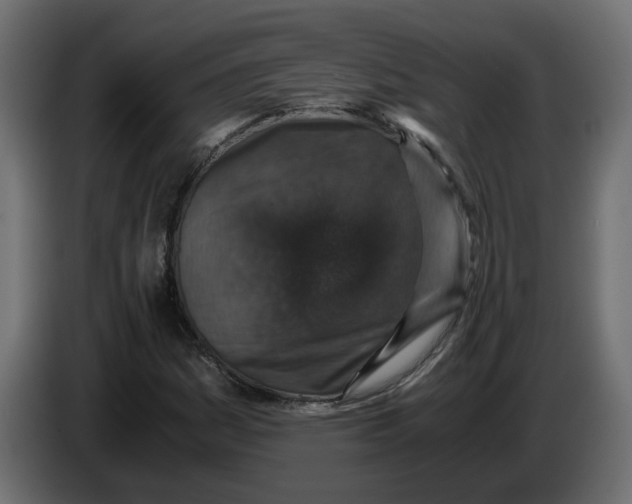 X0000083581161200703021807