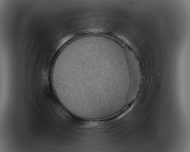 X0000083581162200703021807