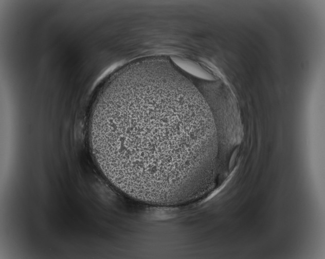 X0000083581163200703021807