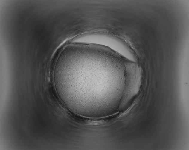 X0000083581165200703021807