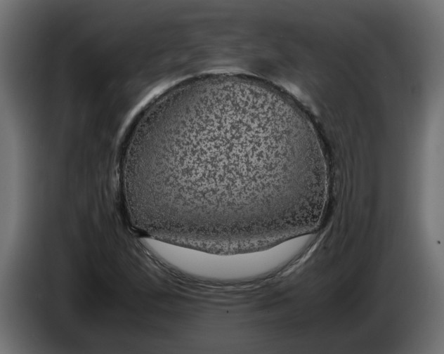 X0000083581167200703021807