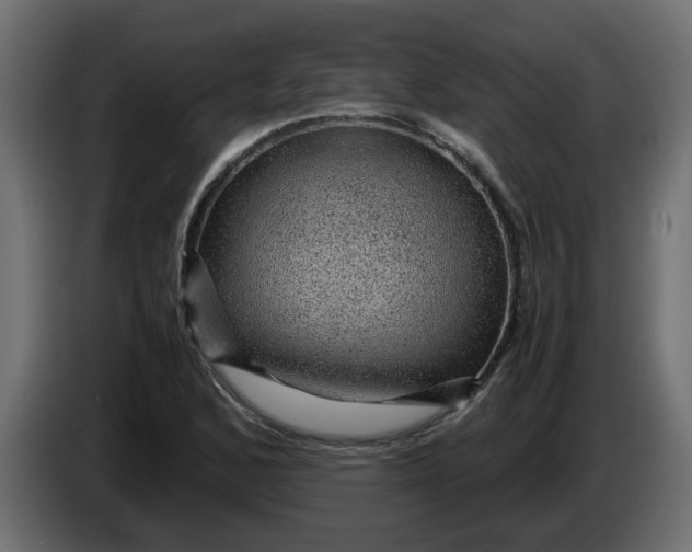 X0000083581168200703021807