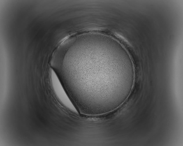 X0000083581169200703021807