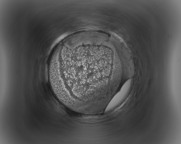 X0000083581171200703021807